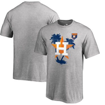 Houston Astros 2018 Spring Training Vintage Team Specific T Shirt Heather Gray