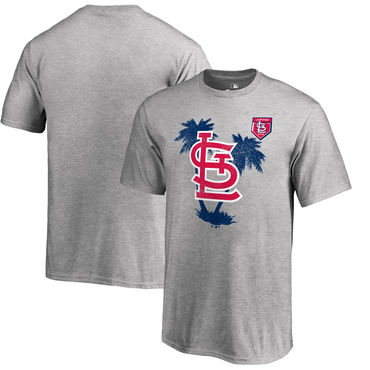 St. Louis Cardinals 2018 MLB Spring Training Vintage T Shirt Heather Gray