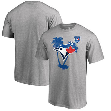 Toronto Blue Jays 2018 MLB Spring Training Vintage T Shirt Heather Gray
