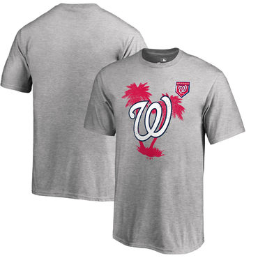 Washington Nationals 2018 MLB Spring Training Vintage T Shirt Heather Gray