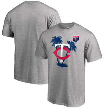 Minnesota Twins 2018 MLB Spring Training Vintage T Shirt Heather Gray