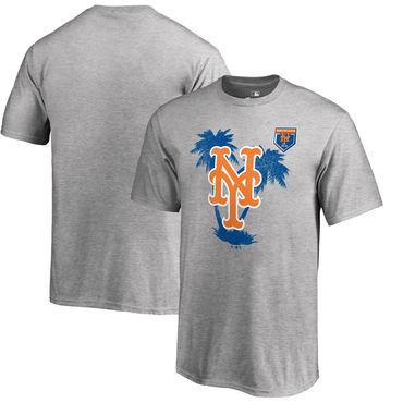 New York Mets 2018 MLB Spring Training Vintage T Shirt Heather Gray