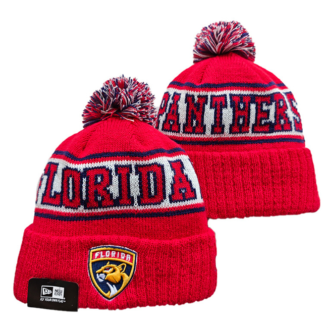 Florida Panthers 2025 Knit Hats 002