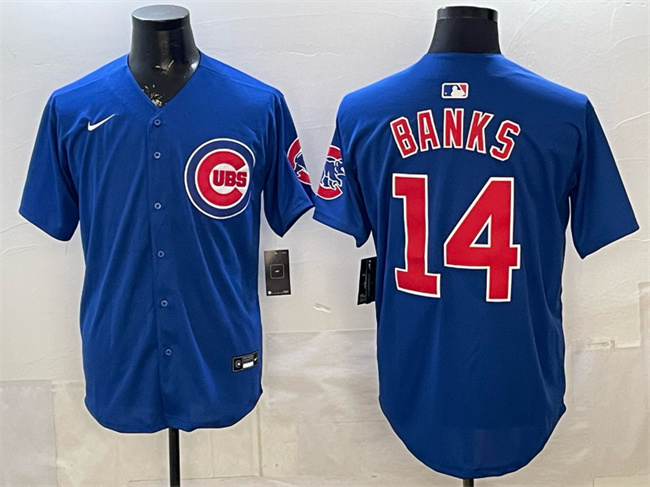 Men's Chicago Cubs #14 Ernie Banks Royal Limited Stitched Baseball Jersey