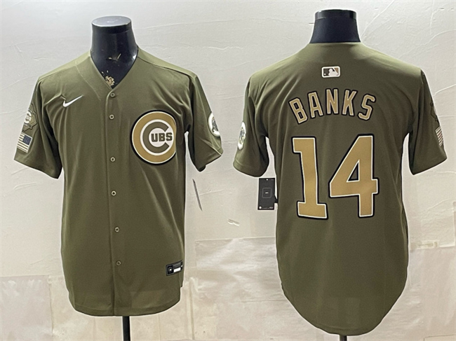 Men's Chicago Cubs #14 Ernie Banks Royal Olive 2026 Armed Forces Day Salute To Service Stitched Baseball Jersey